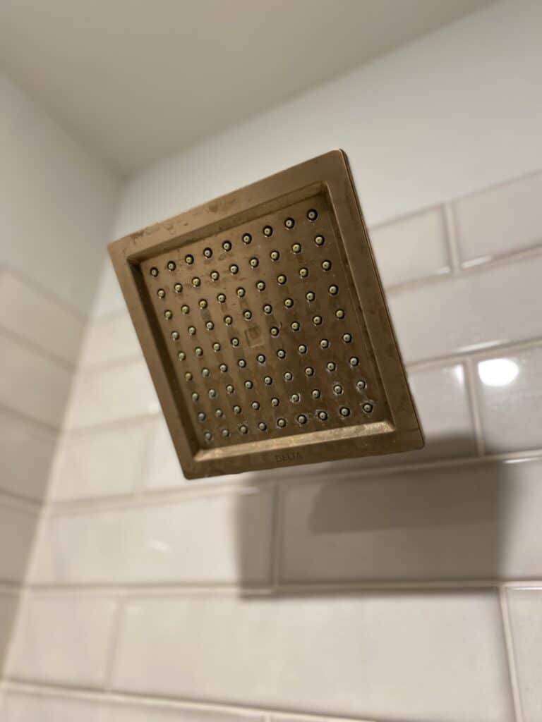 delta shower head