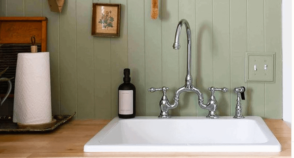 Chrome bridge faucet with green backdrop