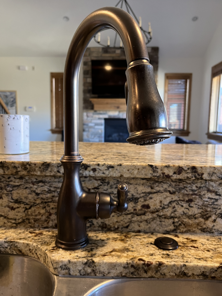 Moen kitchen sink