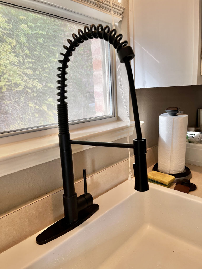 black pre rinse faucet